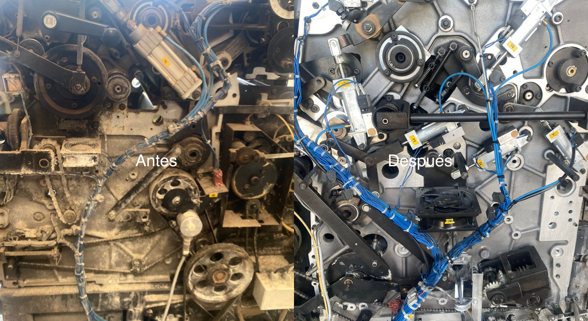 Antes_después_crio_1